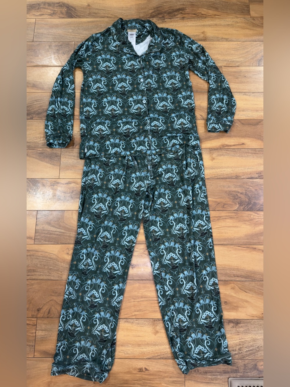 Pottery Barn Teen Wicked Elphaba Classic Long Bamboo Viscose Pajama Set Cozy